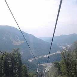 ������������, ����, 37 ���