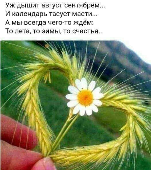  - 24  2019  11:22