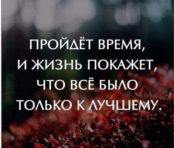  |    