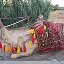 ���� ����, ����� - ��������� 7 �������� 2019 � ������ ���������� ������