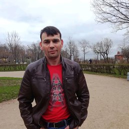 ���������, ������� ����, 41 ���