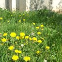 ���� ���������, �������� - ��������� 13 ��� 2019 � ������ ���� ����������