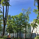  , , 53  -  29  2019   2019.