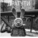 ���� ����, ����������� - ��������� 1 ���� 2019 � ������ ���� ����������