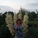 ���� ������, ���������, 72 ���� - ��������� 9 ������� 2019 � ������ ���������� ������