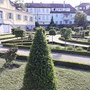 ���� �����, ��������� - ��������� 2 ������� 2019 � ������ ������ ��������