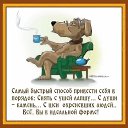 ���� ����, �������� - ��������� 12 ��� 2019 � ������ ������ ��������