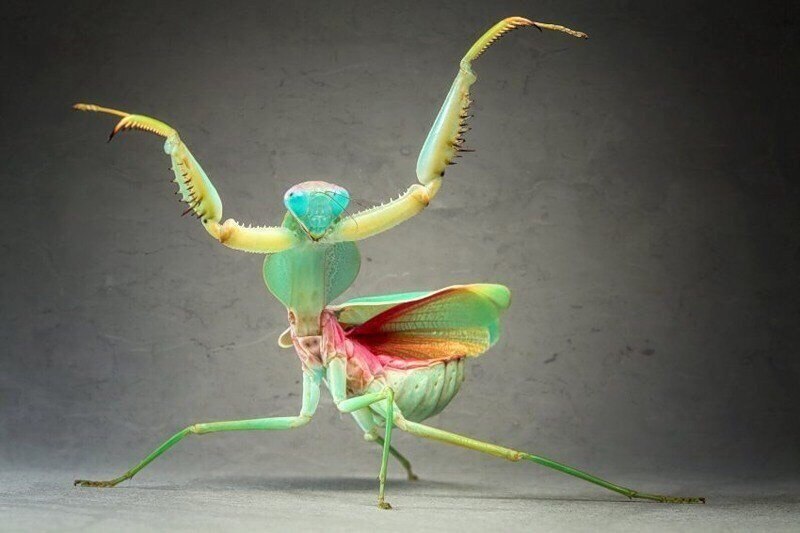 �� ��������� ������ ����� ��������! ������� ����! ��������. �����. ������.