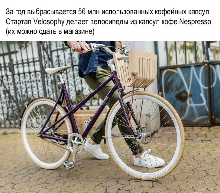 10   ,         ... - 4