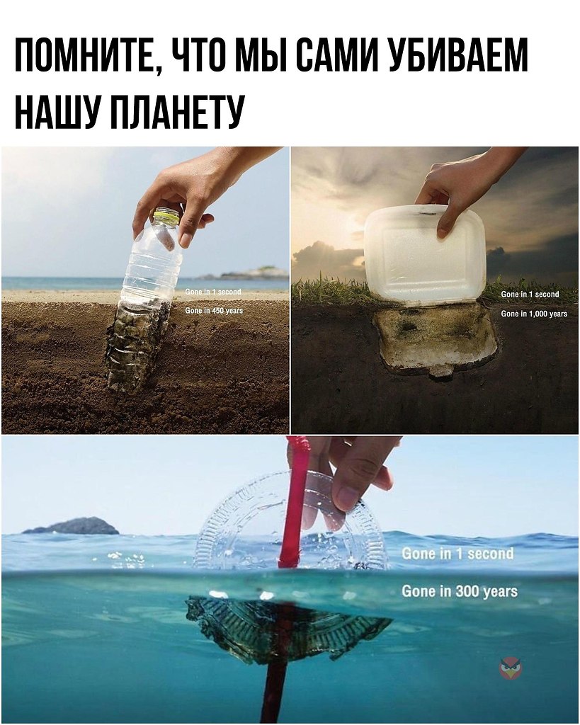   - 5  2019  19:37