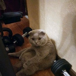 ����, ������� �����, 45 ���