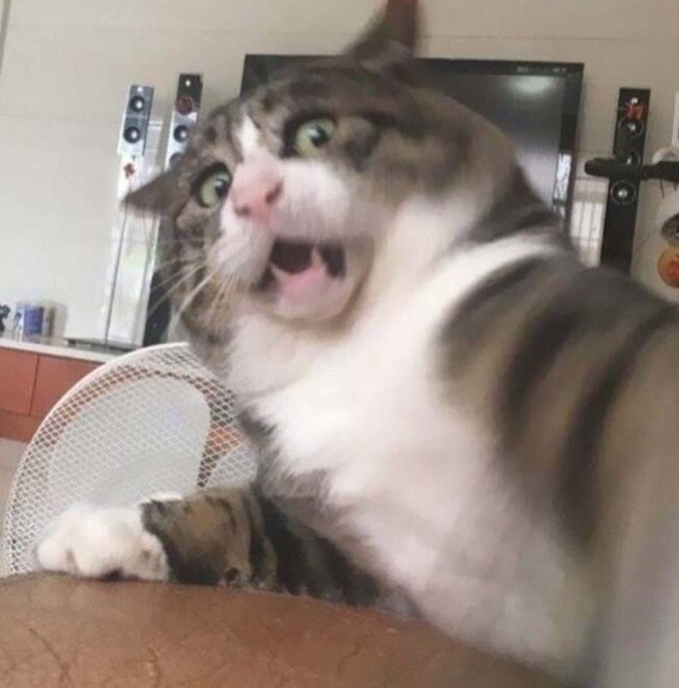      - 5
