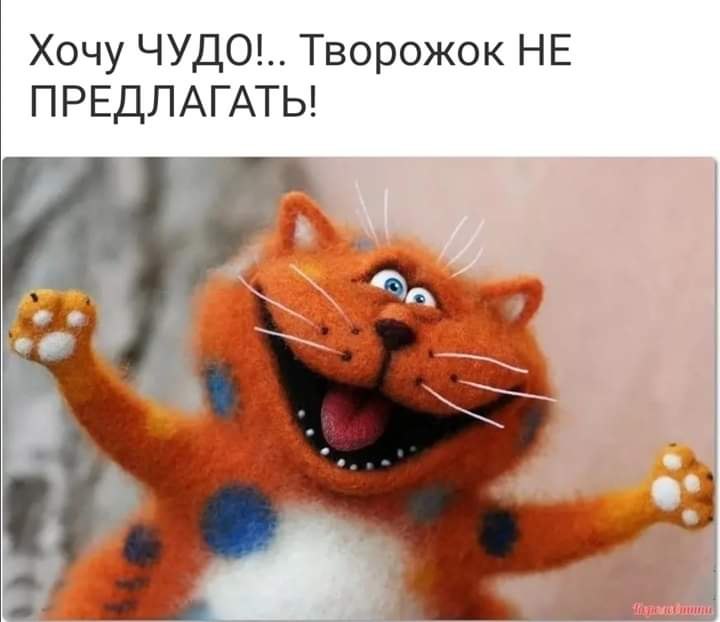 ̳ - 10  2019  19:24