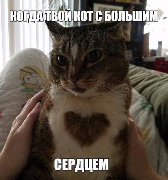 ? ,  ! - 8  2019  18:42