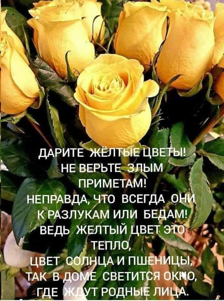   ,    . - 8  2019  21:08