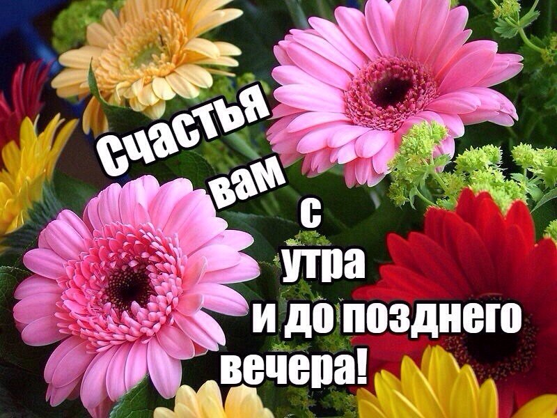   ,    . - 9  2019  17:48