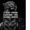 ���� �, ���������, 46 ��� - ��������� 29 ���� 2019
