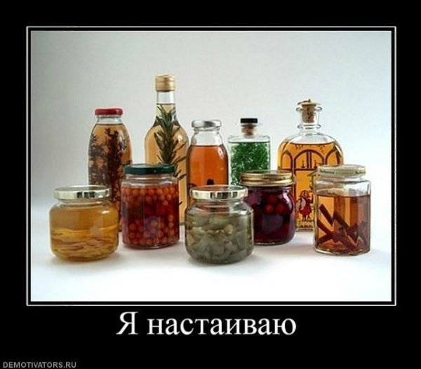 кот привел чужую кошечку в дом и разрешил есть из своей миски. Дочь сказала, что теперь примерно ...