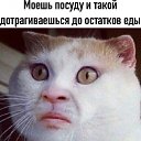  ,  , 42  -  21  2019    