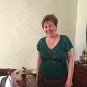 ���� ������, �����-���������, 64 ���� - ��������� 8 ��� 2019 � ������ �������