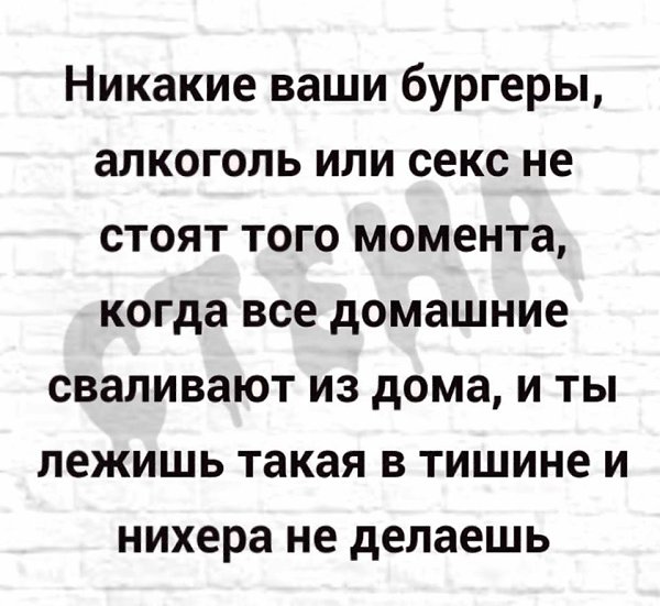  - 13  2019  21:42