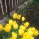 ���� �������, ������, 68 ��� - ��������� 1 ���� 2019 � ������ ���� ����������