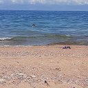 ���� ����, ��������, 46 ��� - ��������� 26 ���� 2019 � ������ ���� ����������