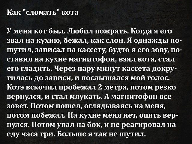 ☆ ☆ - 5  2019  03:36