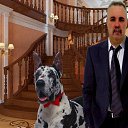 ���� ��������, ������, 64 ���� - ��������� 2 ������ 2020 � ������ ���� ����������