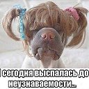 ���� �����, �����, 41 ��� - ��������� 12 ������ 2019 � ������ ������ ��������