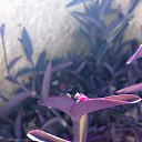 ���� ���������, �����-���������, 62 ���� - ��������� 27 ���� 2019 � ������ ���� ����������