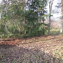 � ������� �� ������ � ������� 2019 �. �� ������� ������