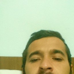 ������, ���������, 33 ����