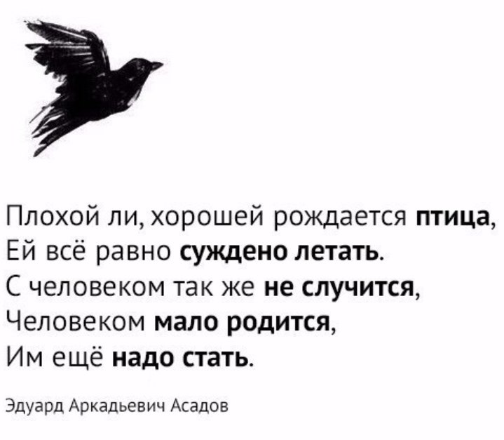 Человеку нужен человек. Асадов стихи. Им еще надо стать. Афоризмы про птиц. Цитаты про птиц.