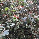 ���� ����, �����������, 50 ��� - ��������� 6 ������ 2019 � ������ ������������� ���