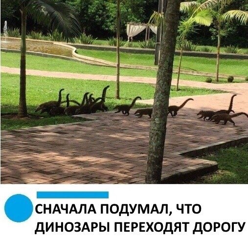  |  |  - 14  2019  03:47