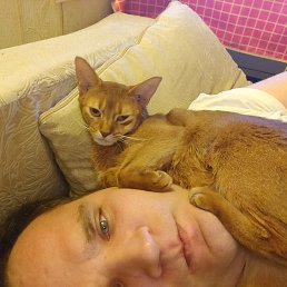 ���� �����, ������, 37 ��� - ��������� 16 ������� 2019