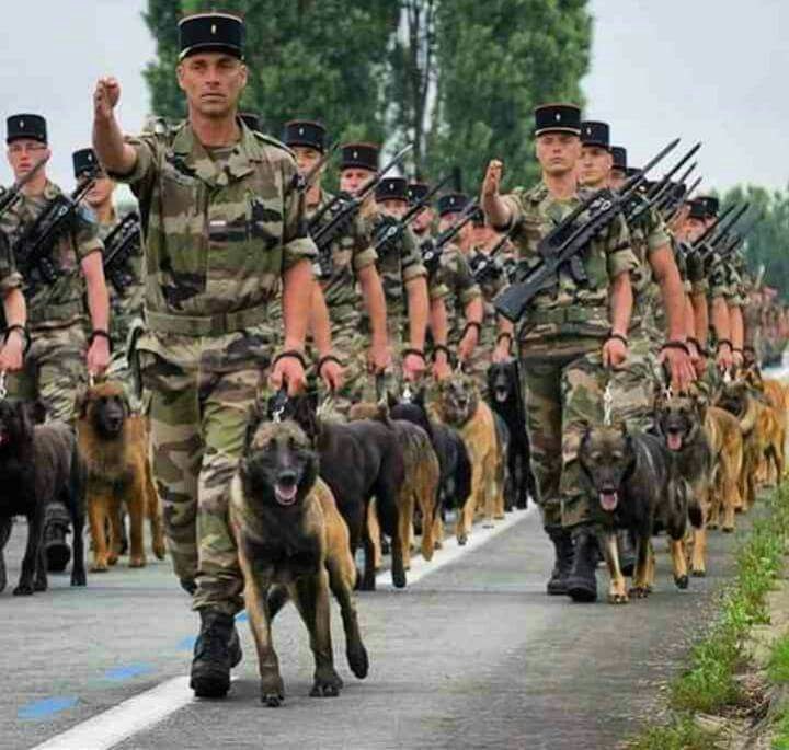 ��������� ������. - 22