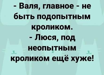   - 15  2019  18:57