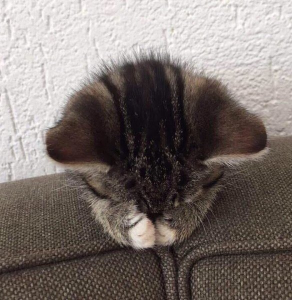 He  ...