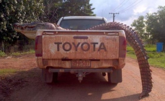 Aca  eco, e o e co oe. - 5