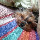 ���� �����, �������, 47 ��� - ��������� 2 �������� 2019 � ������ ��������ܻ