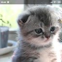���� �����, ���� - ��������� 12 ������ 2019 � ������ ������ ��������