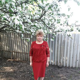 ���� �������, �������, 68 ��� - ��������� 18 ���� 2019