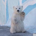 ���� �����, �����������, 40 ��� - ��������� 16 ������ 2019 � ������ ���� ����������