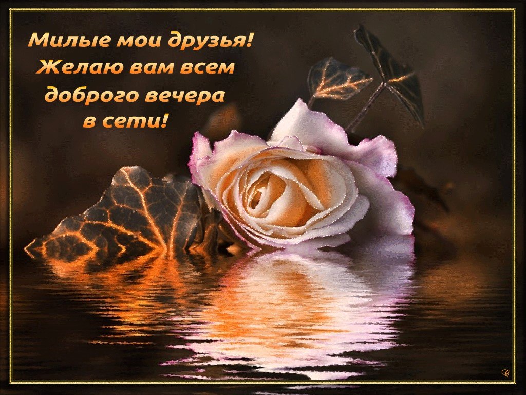  ,  !  ! !    !    !