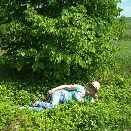 �����, ������