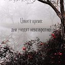  Anatoliy,  -  28  2019    