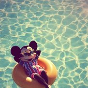 ������, 41 ���, ����