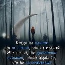 ���� ���������, ��������, 50 ��� - ��������� 18 ���� 2019 � ������ ���� ����������